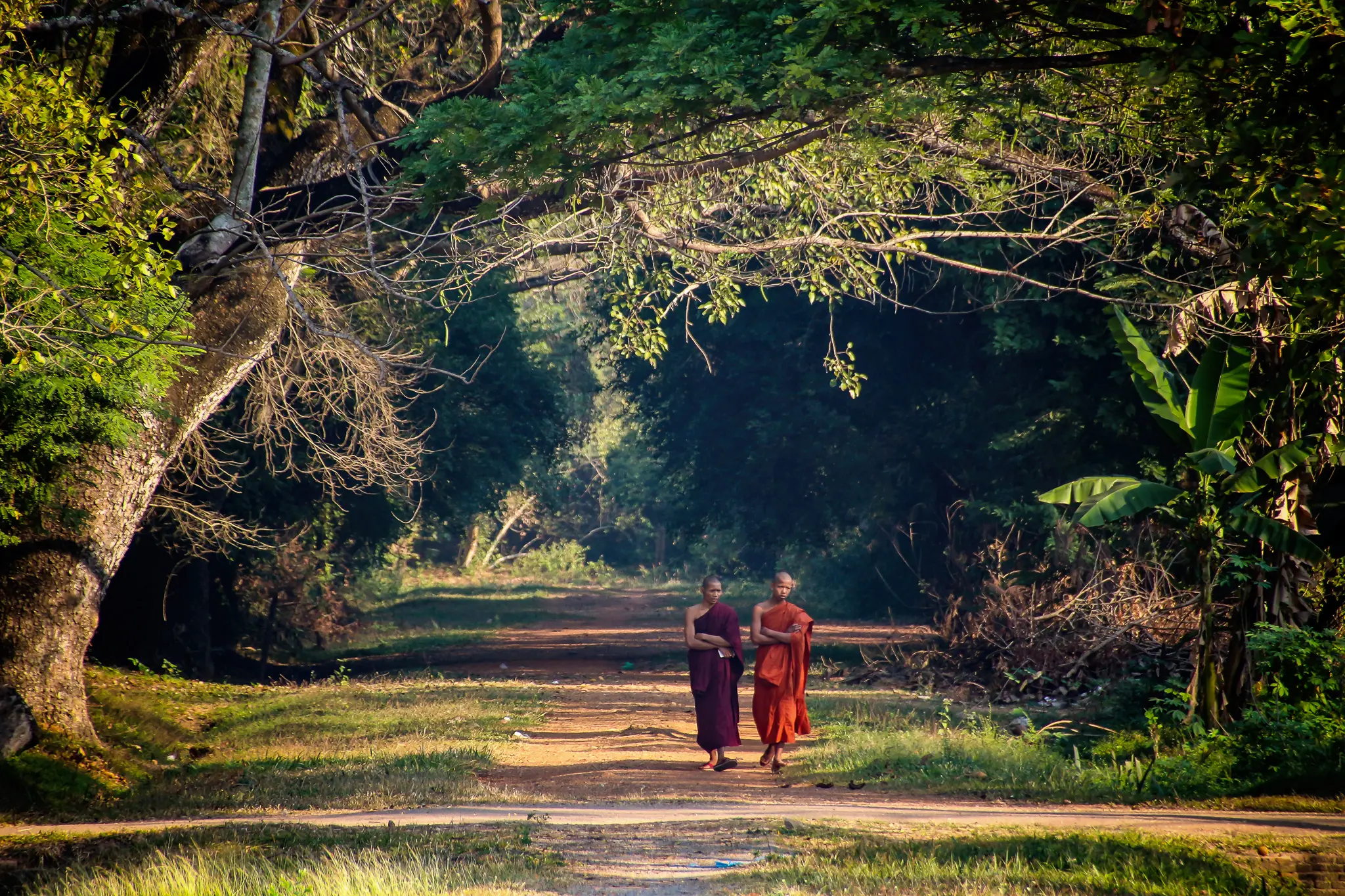 Zwei Mönche auf einem Weg im Wald Kambdoscha