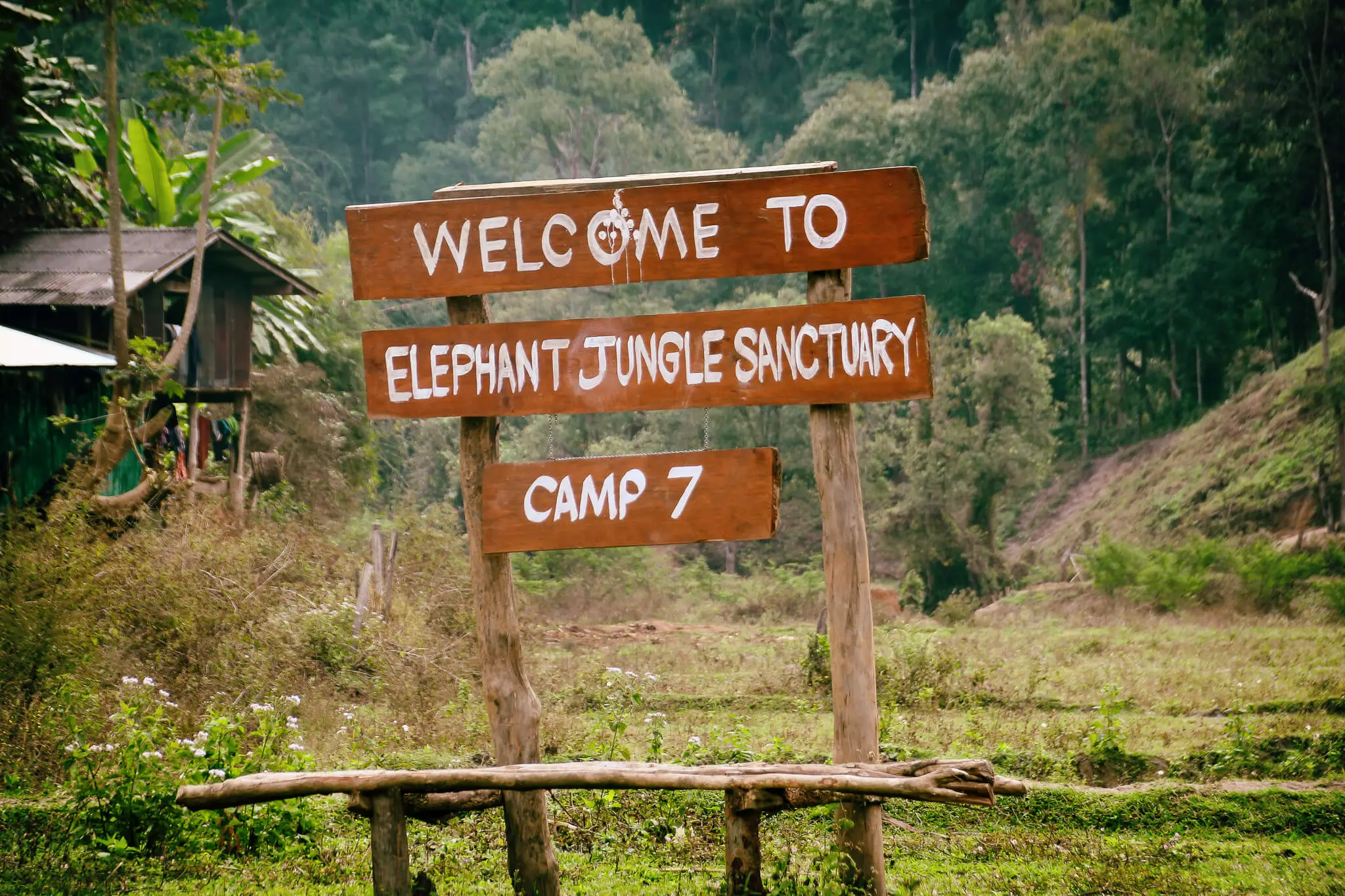 Elephant Jungle Sanctuary