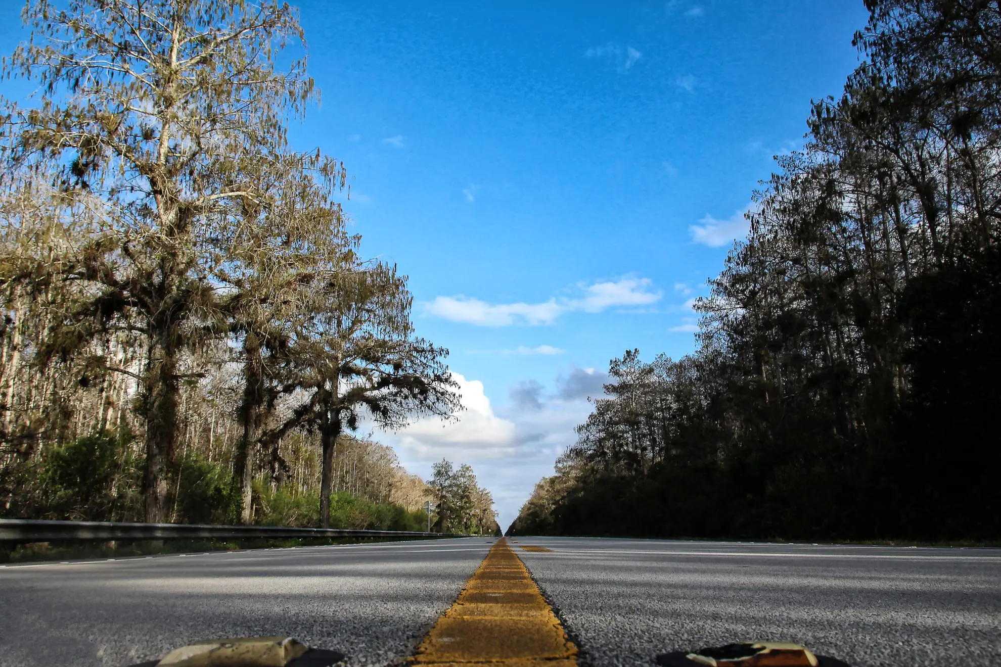 Straße in den Everglades