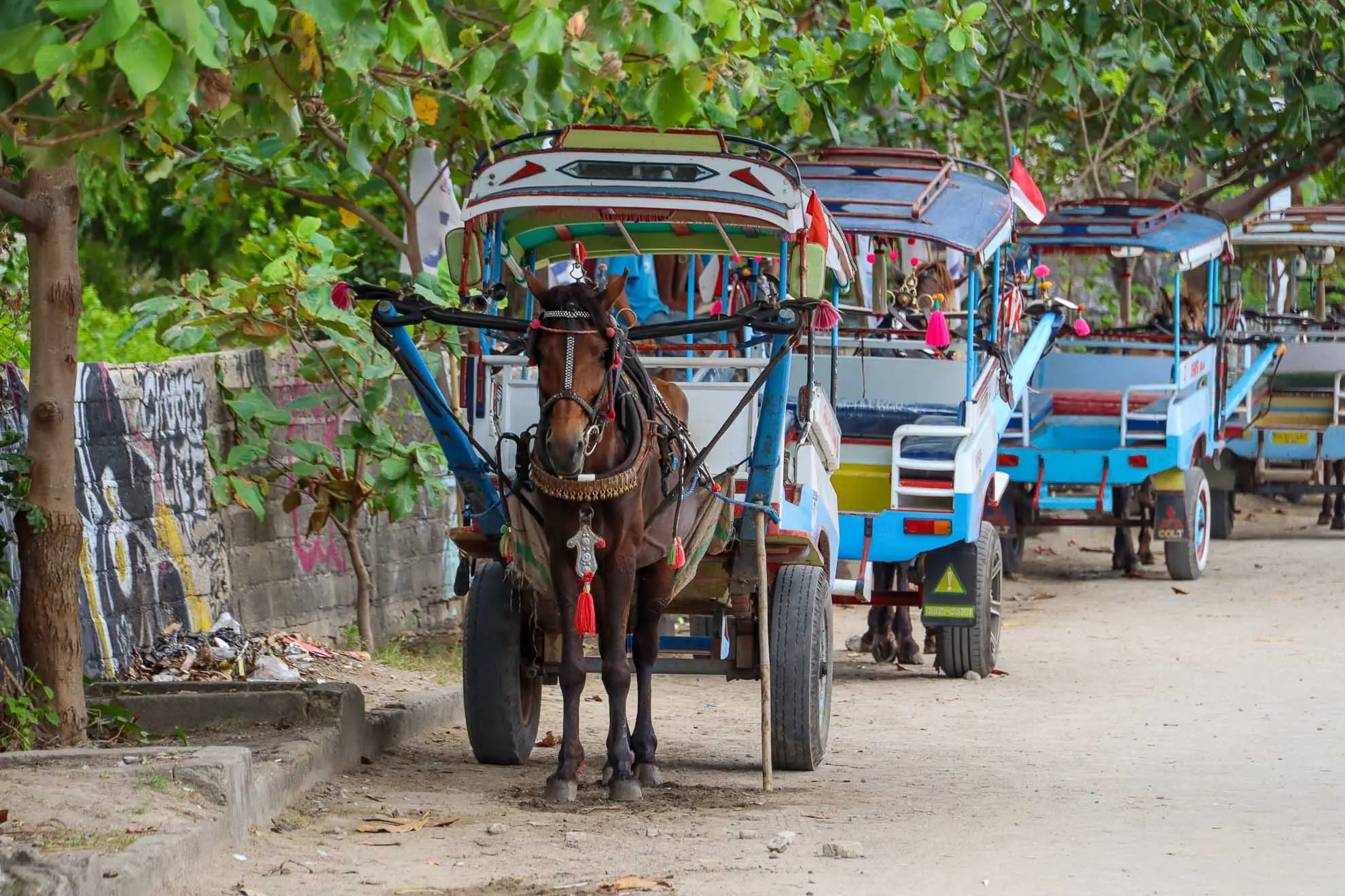 Pferdekarren auf Gili Air