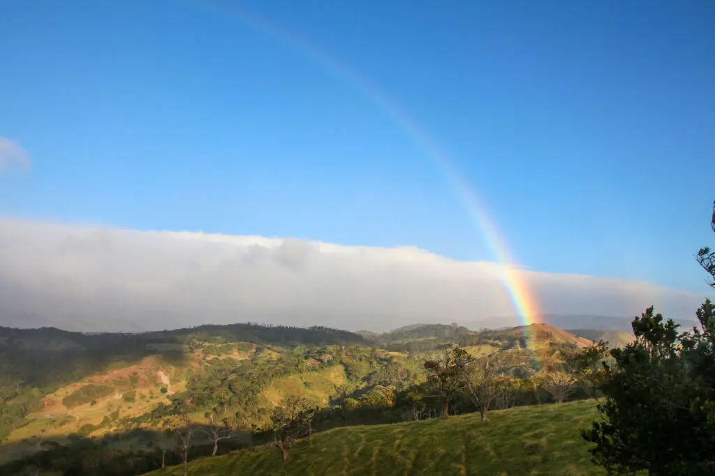 Leuchtender Regenbogen wölbt sich über tropische Felder