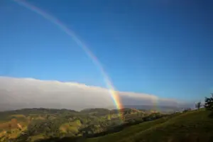 Leuchtender Regenbogen wölbt sich über tropische Felder