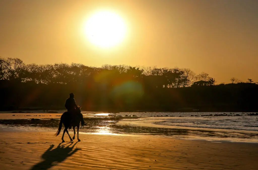 Silhouette eines Reiters im goldenen Licht an der Pazifikküste
