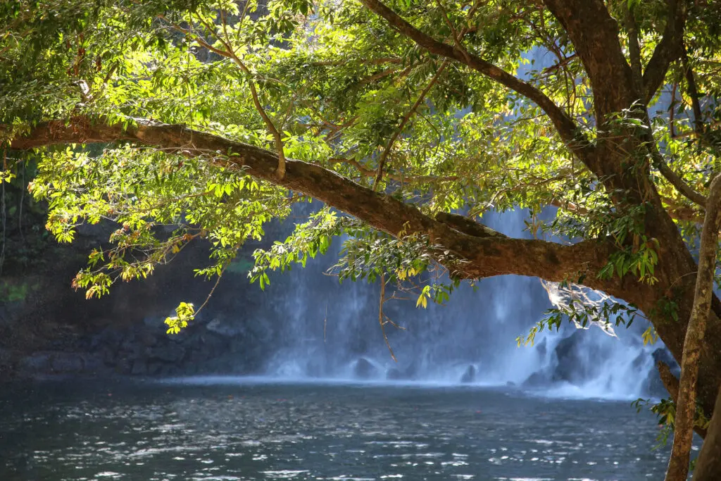 Kaskadierender Wasserfall stürzt in ein naturbelassenes Becken