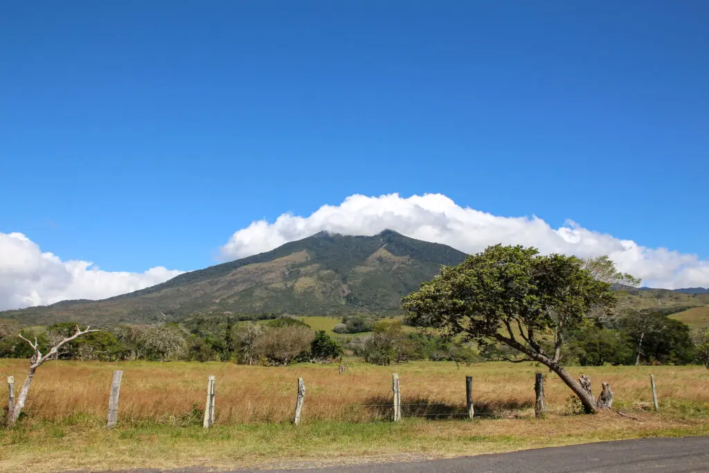 Vulkan vor blauen Himmel und Weide mit Kühen im Vordergrund