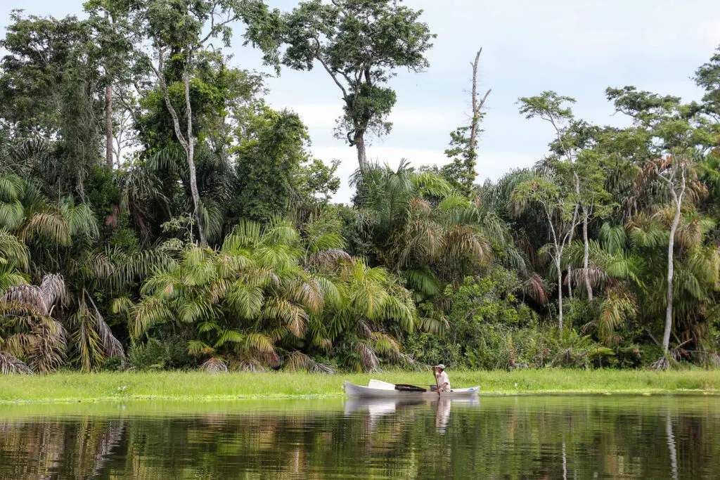 Paddler auf ruhigem Fluss in Tortuguero