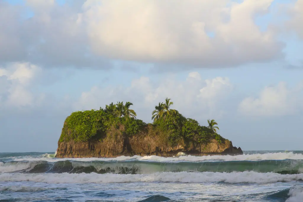 Palmenbewachsene Felsinsel an der Küste von Costa Rica