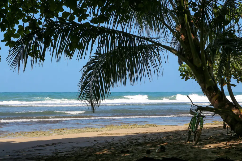 Palmenbogen öffnet den Blick auf Wellen und Strand in Costa Rica
