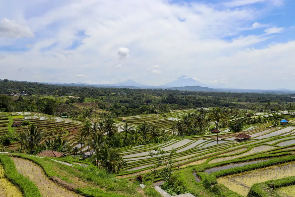 Terrassierte Felder mit Vulkansilhouette im Hintergrund