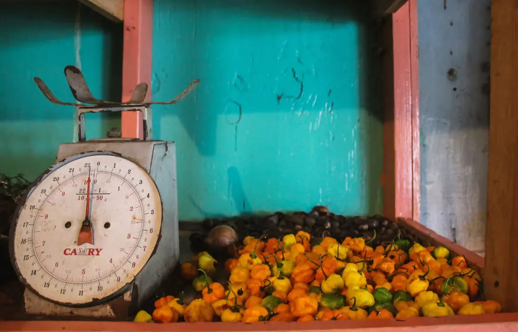 Buntes Obst liegt neben einer Waage auf dem Fensterbrett