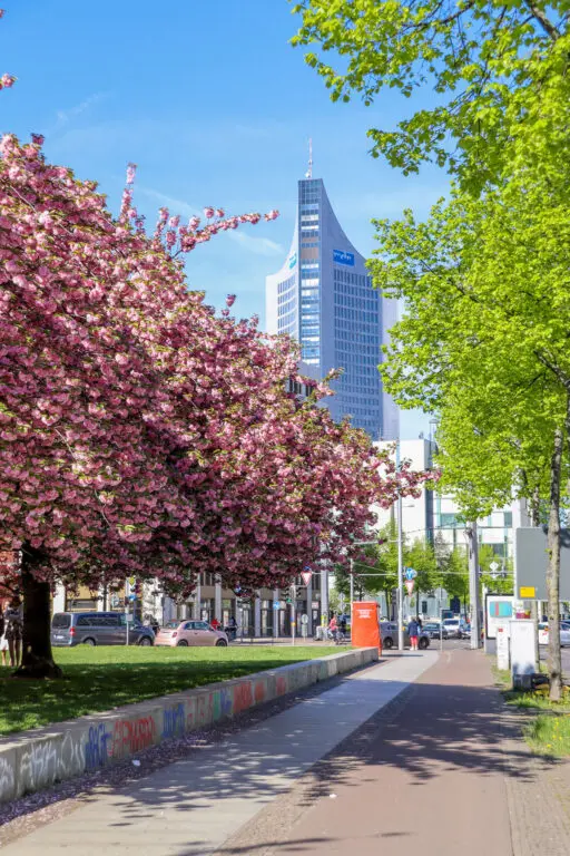 Straßenszene mit Kirschblüten und City-Hochhaus Leipzig
