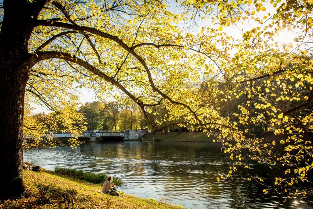 Herbstliches Flussufer in Leipzig mit farbigen Bäumen