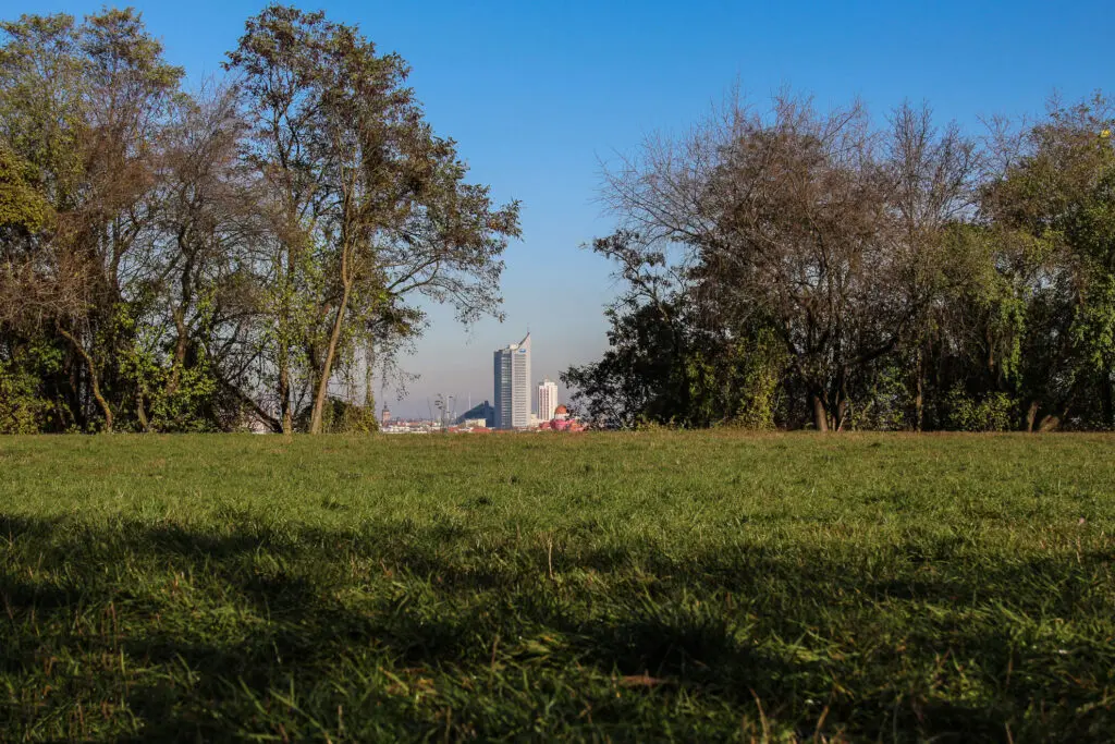 Blick vom Fockeberg auf die Skyline Leipzigs im Morgenlicht