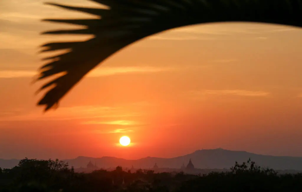 Abenddämmerung mit Palmen im Vordergrund