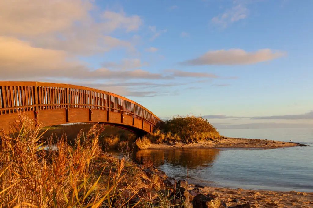 Holzbrücke mit Spiegelung im Wasser