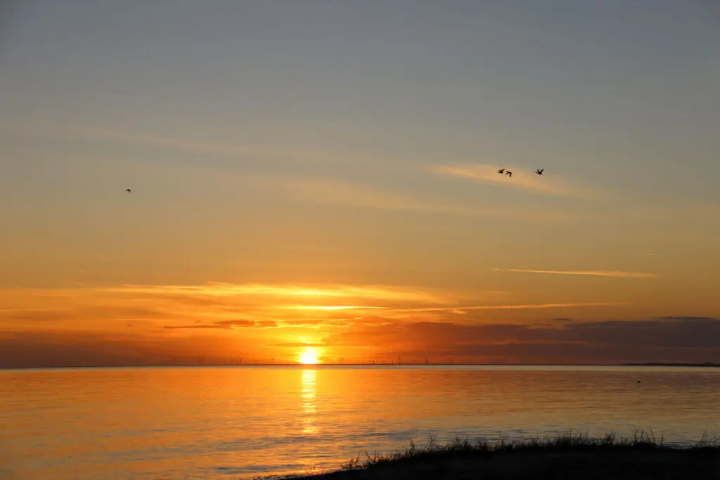 Goldener Horizont mit klarer Spiegelung im Wasser