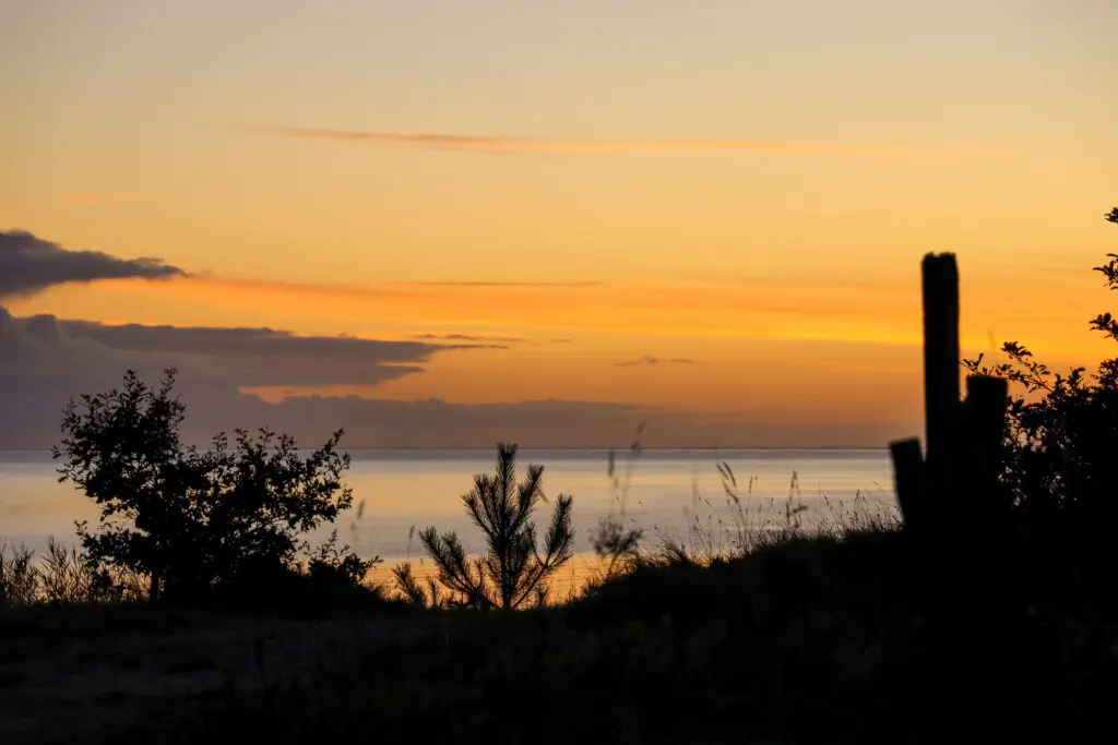 Sonnenaufgang mit Gräsern im Vordergrund