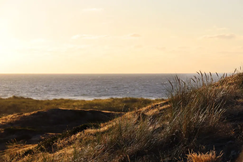 Goldgelbes Licht bei untergehender Sonne über dem Wasser