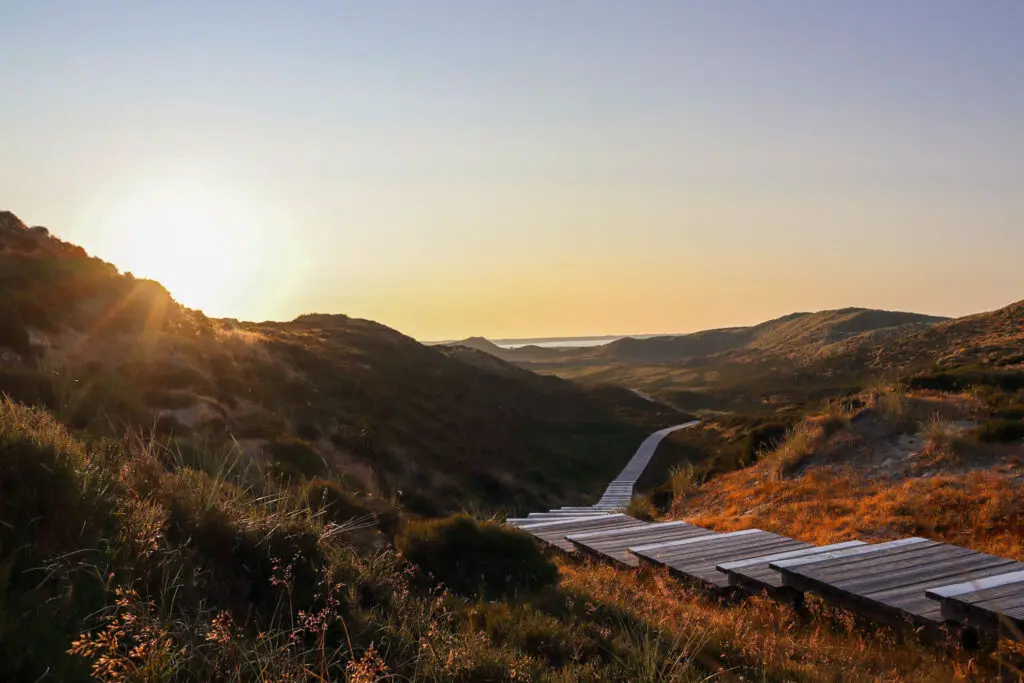 Dünental mit Holzsteg im Abendlicht