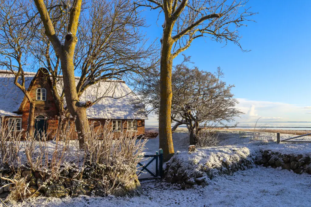Friesenhaus im Schnee auf Sylt