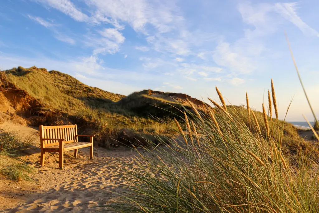 Bank in Dünenlandschaft bei Abendlicht