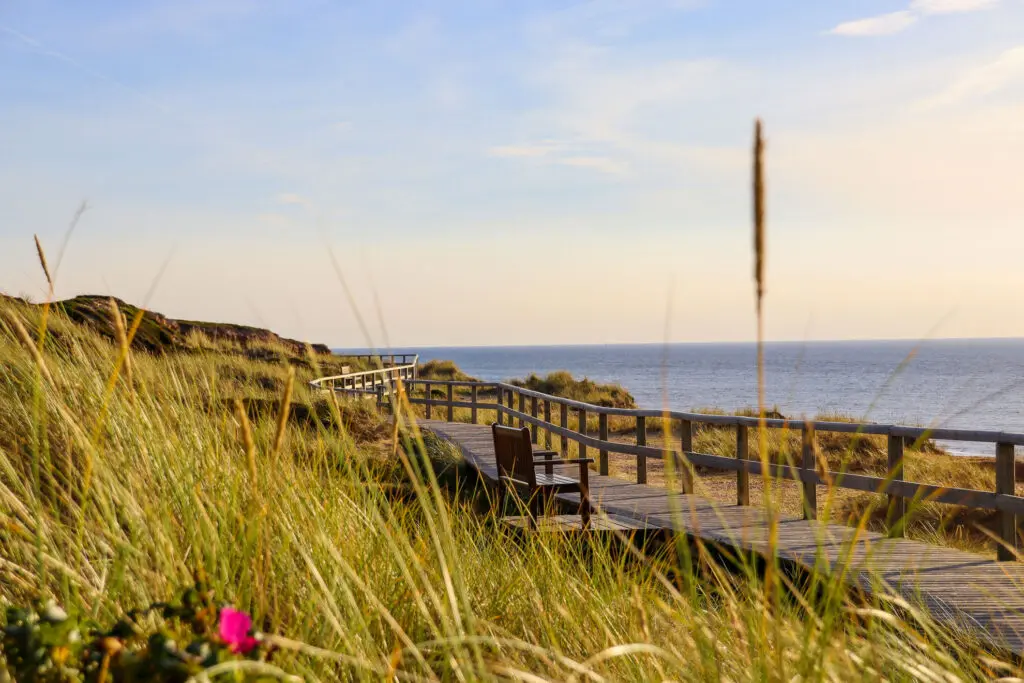 Sandweg mit Dünengras zum Strand
