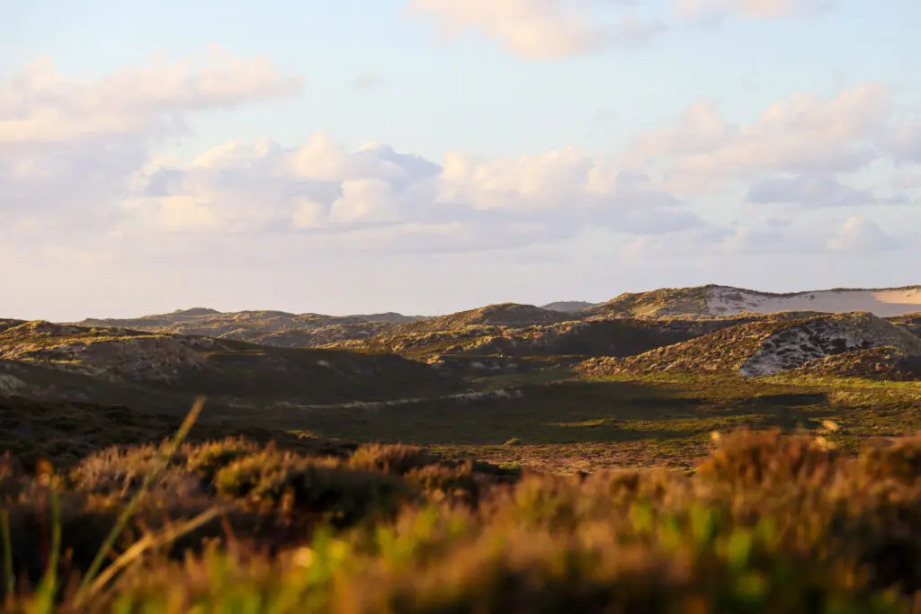 Dünenlandschaft mit kontrastreichem Licht und lockeren Wolken