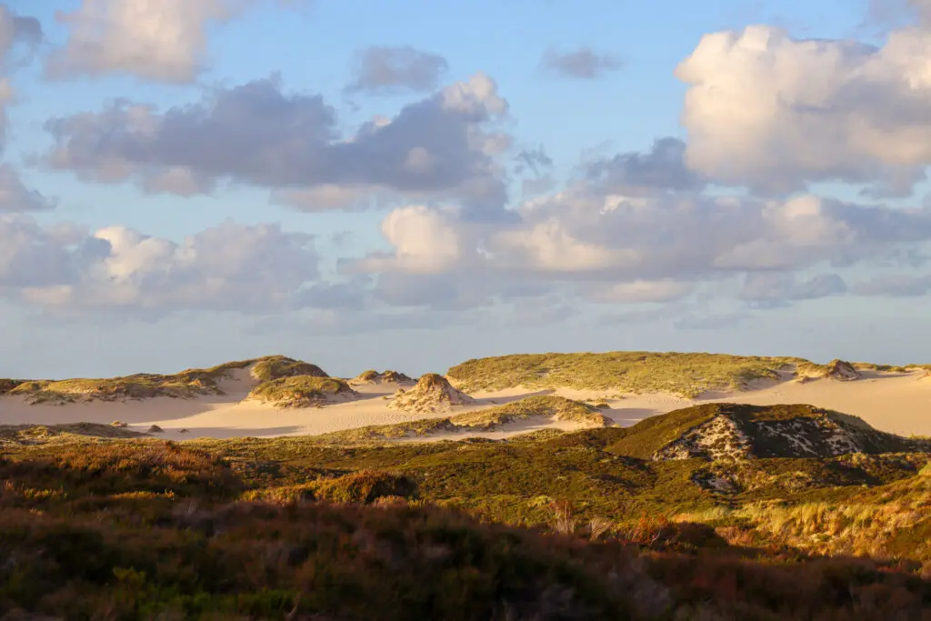 Leicht bewachsene Dünen mit wolkigem Himmel auf Sylt