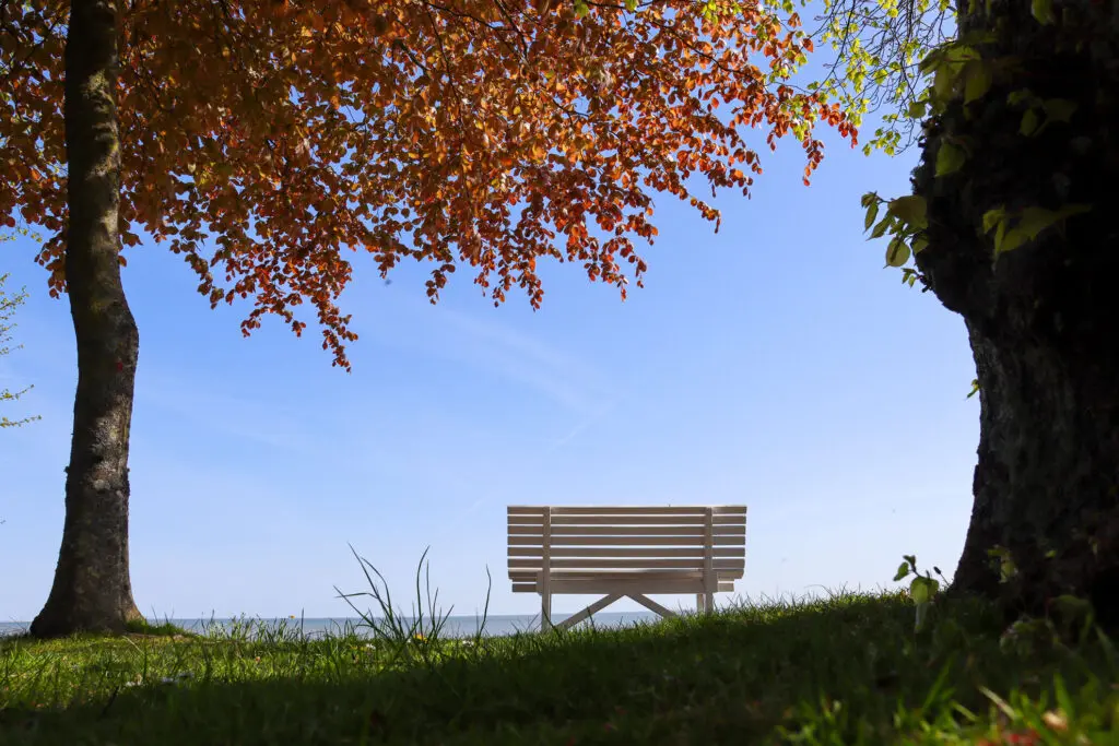 Bank unter buntem Laubbaum mit Blick auf die Nordsee