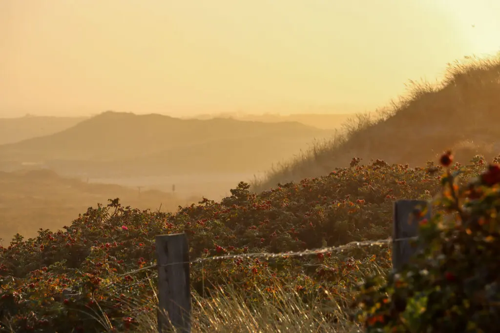 Weiche Hügelzüge der Insel im frühen Sonnenlicht