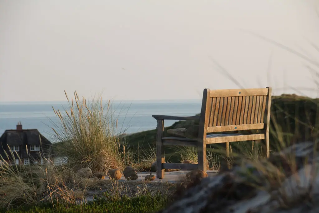 Holzbank in den Dünen bei Sonnenuntergang