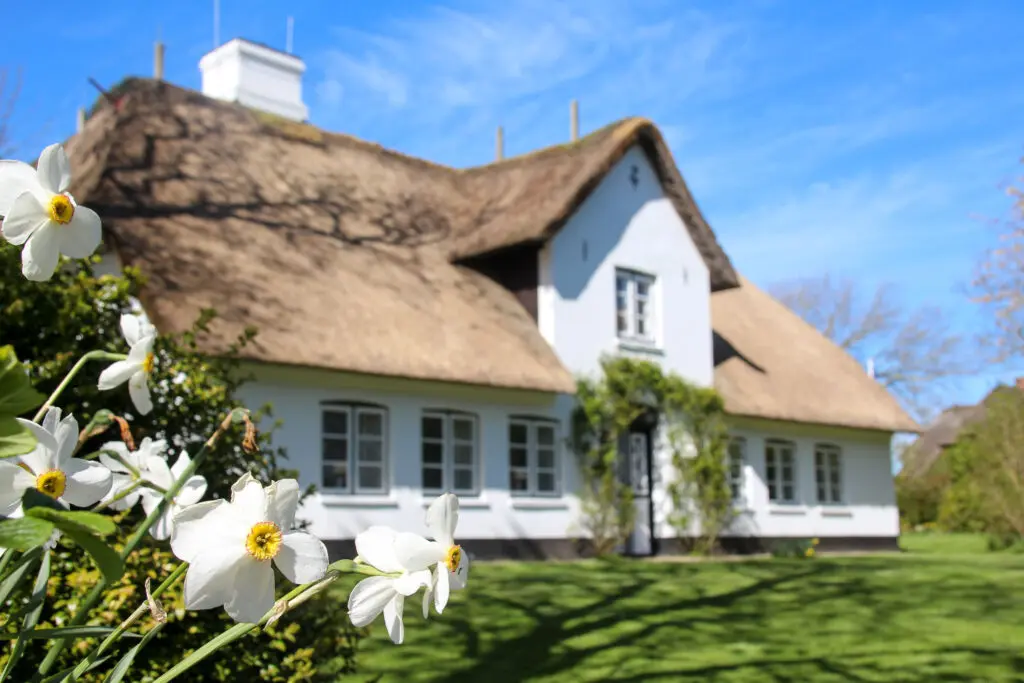 Weißes Haus mit Reetdach, gepflegtem Garten und blühenden Sträuchern