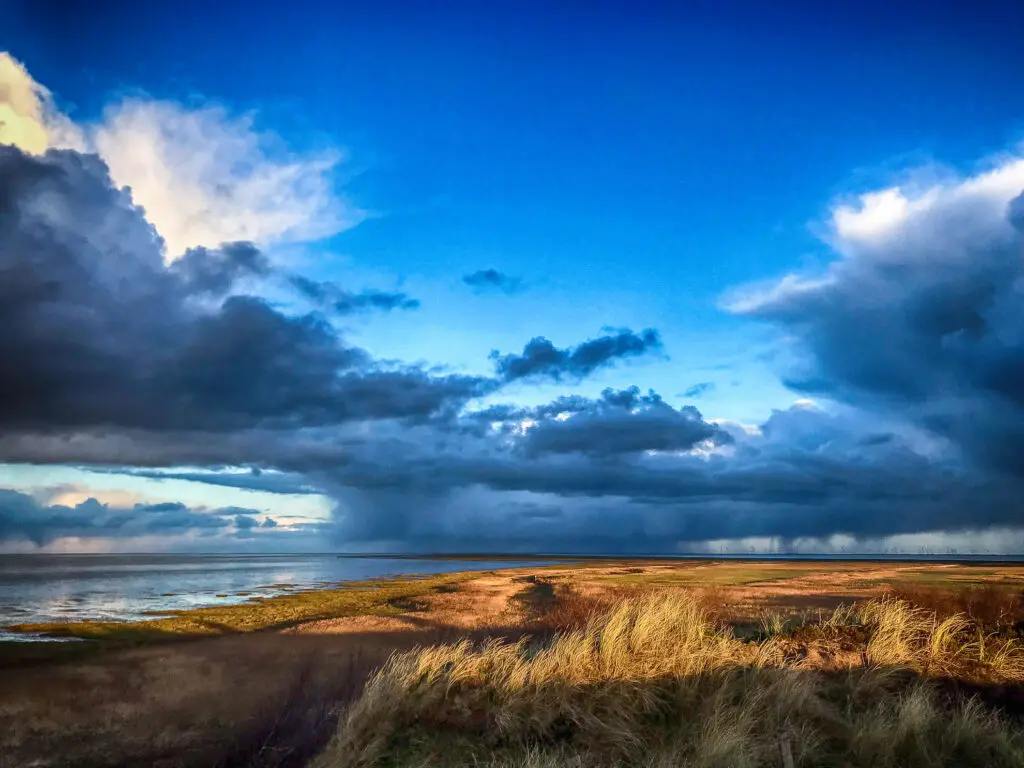 Leuchtender Himmel über goldbrauner Heidelandschaft