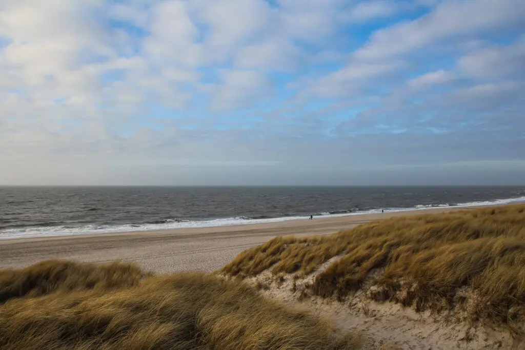 Breiter Strand mit Dünengras und Nordsee bei blauem Himmel