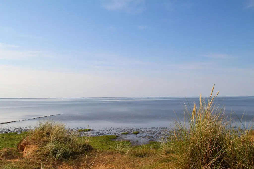 Blick über das Wattenmeer im morgendlichen Licht mit weiter Horizontlinie