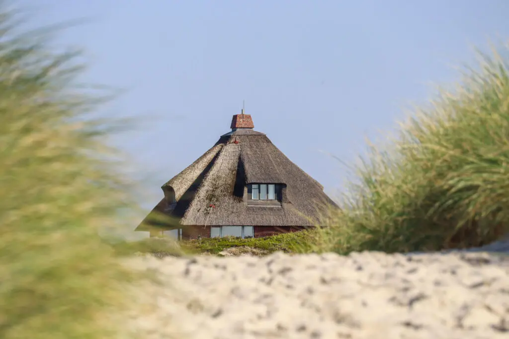 Traditionelles Friesenhaus mit Reetdach, eingebettet in Dünenlandschaft