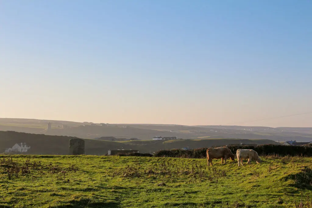 Grüne Weiden am Meer mit Blick auf den Horizont, Irland