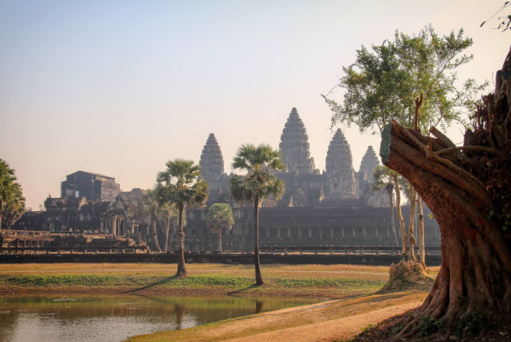 Angkor Wat mit Palmen im Vordergrund