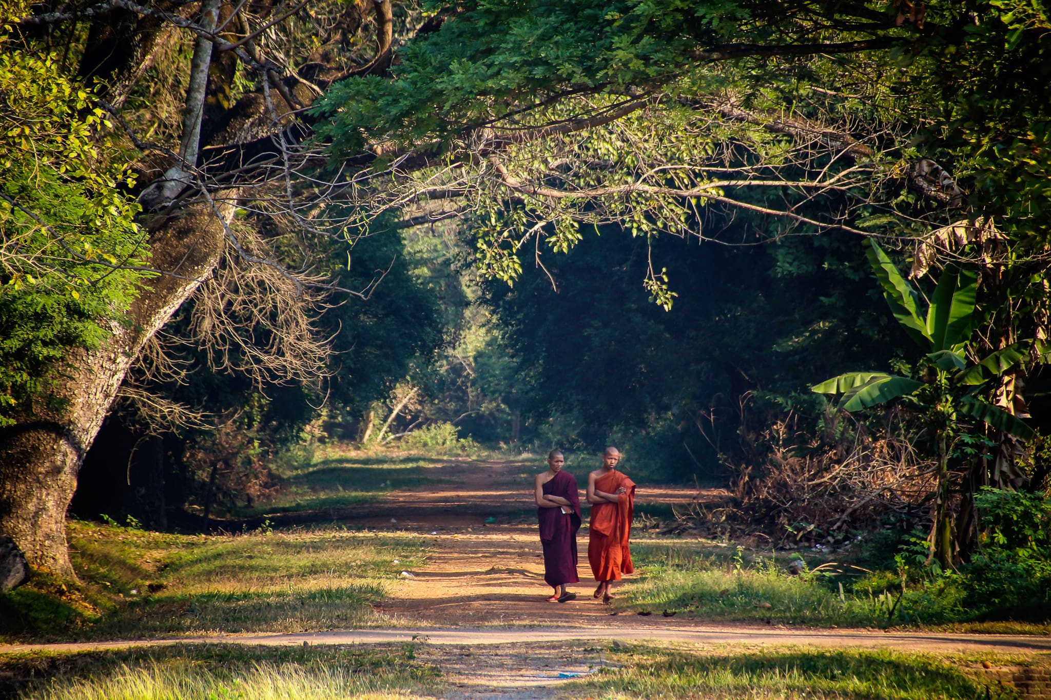 Zwei Mönche auf einem Weg im Wald Kambdoscha