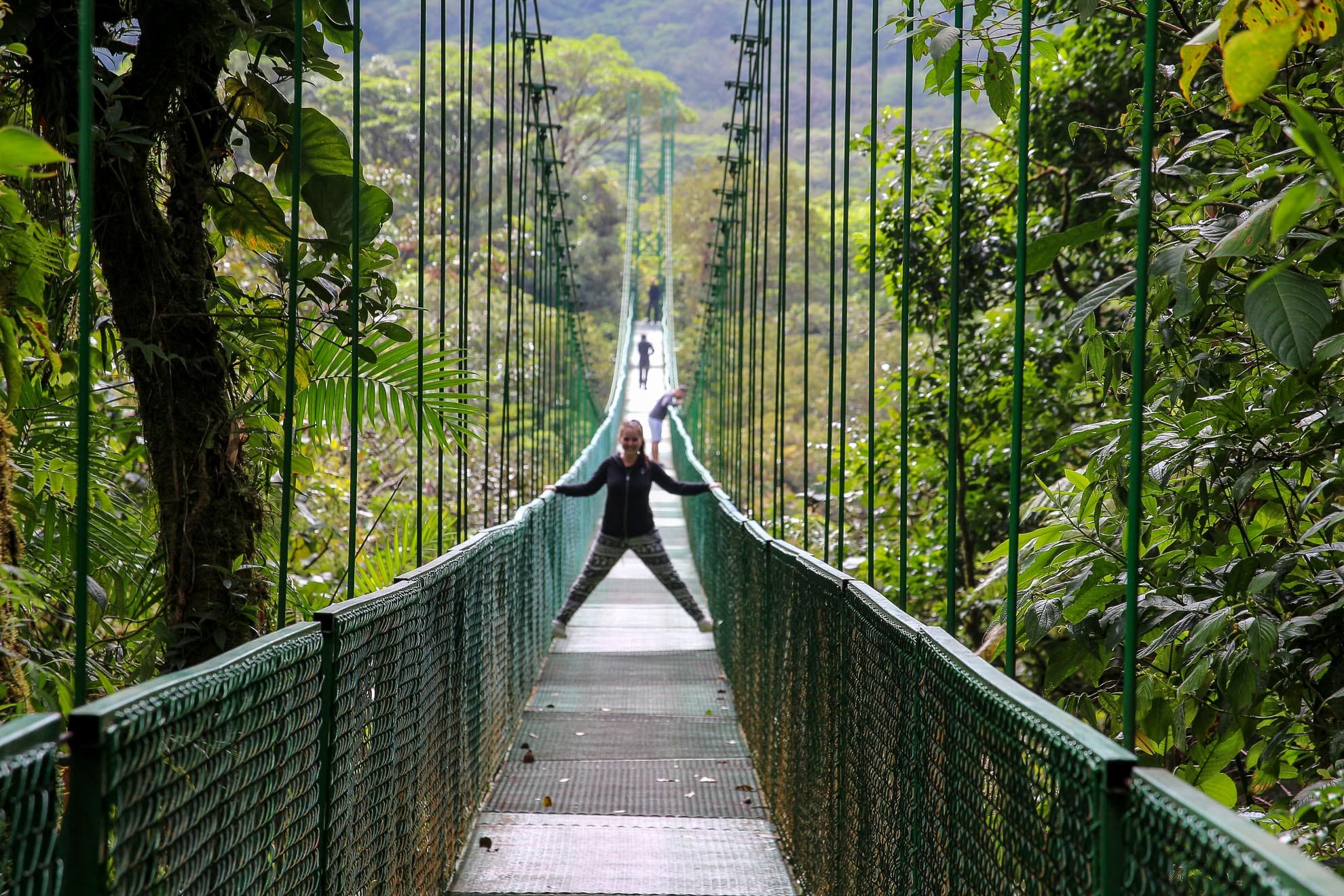 Hängebrücke Monteverde