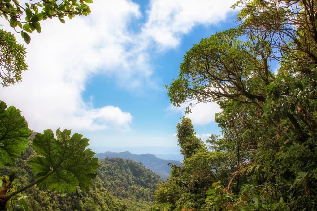 Costa Rica - üppiges Grün