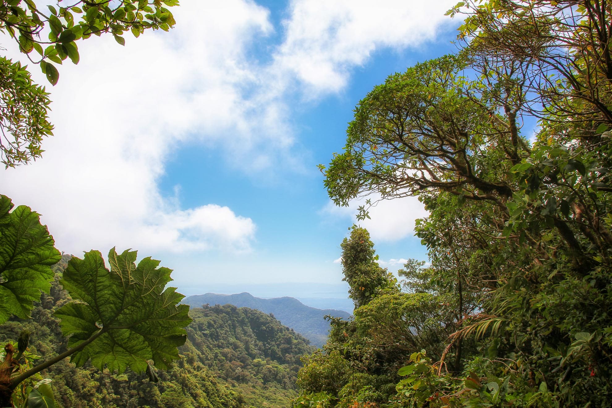 Costa Rica - üppiges Grün
