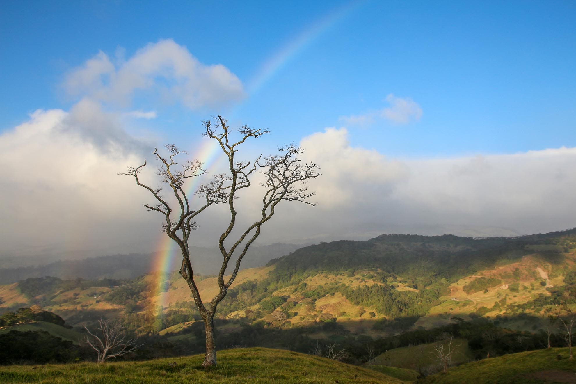 Ein Regenbogen auf dem Weg nach Monteverde – ein unvergesslicher Moment