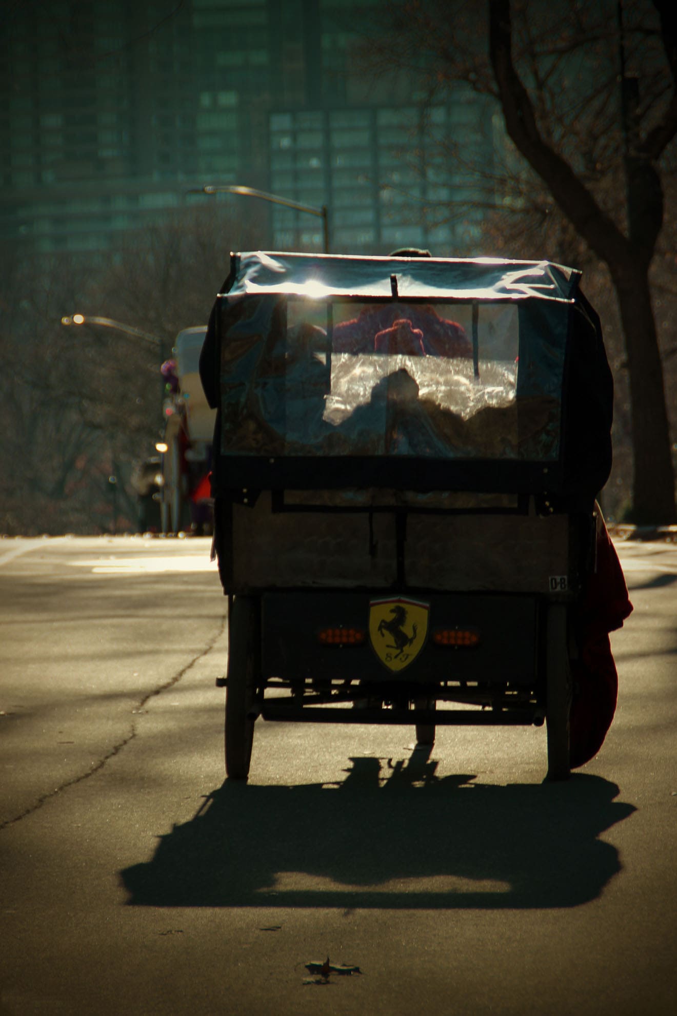 Riksha im Central Park