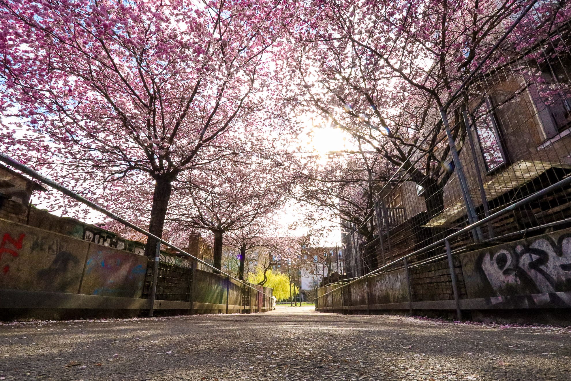 Leipzig im Frühling
