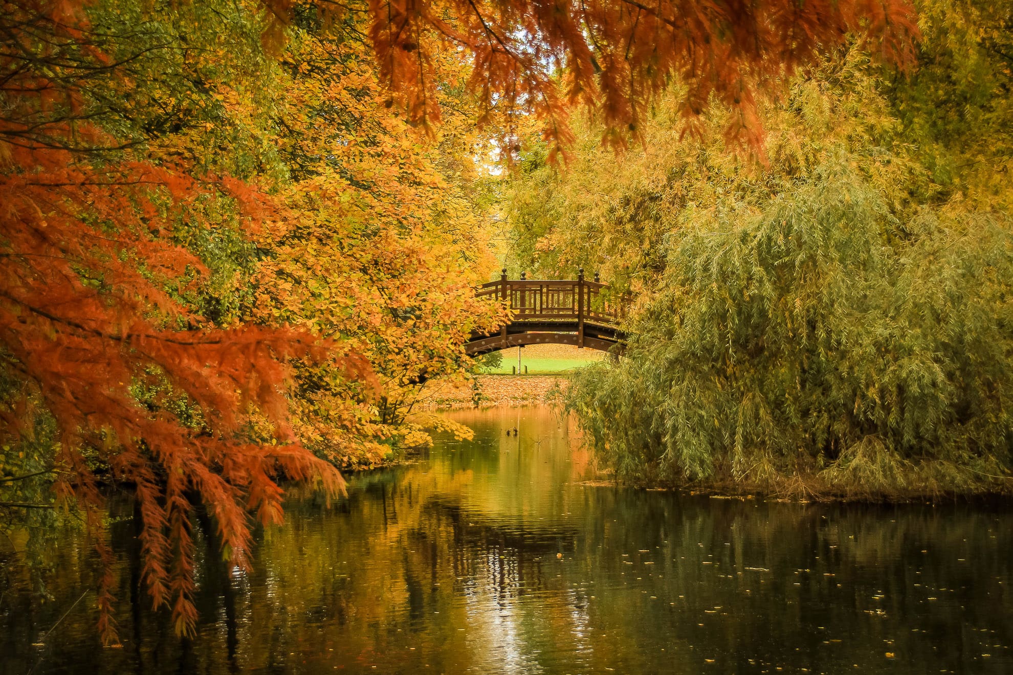 Johannapark im Herbst