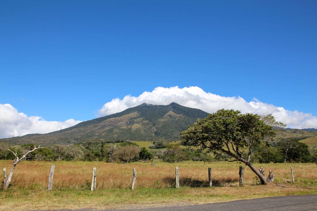 Vulkan vor blauen Himmel und Weide mit Kühen im Vordergrund