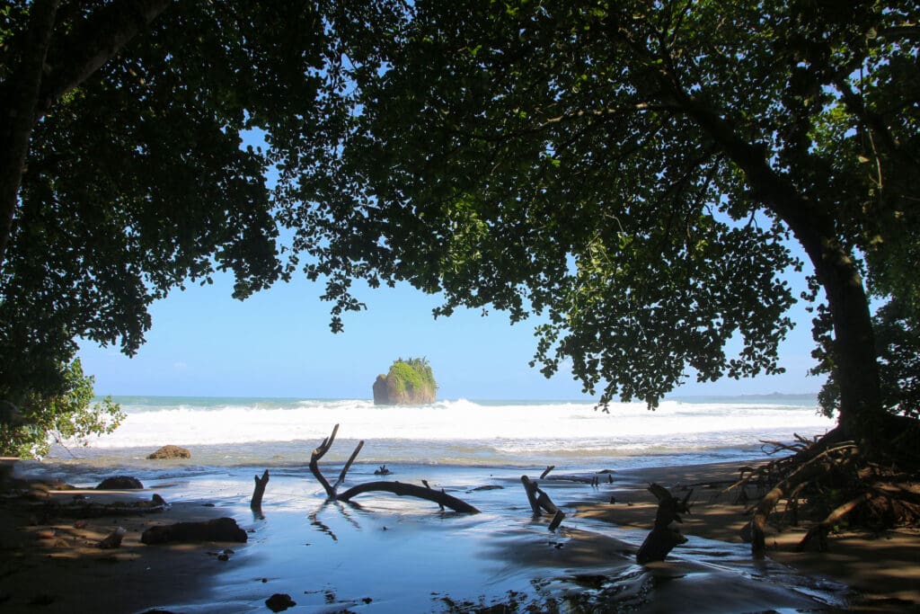 Große Äste und Wurzeln liegen auf feuchtem Sand