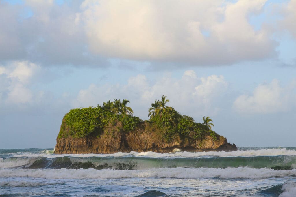 Palmenbewachsene Felsinsel an der Küste von Costa Rica