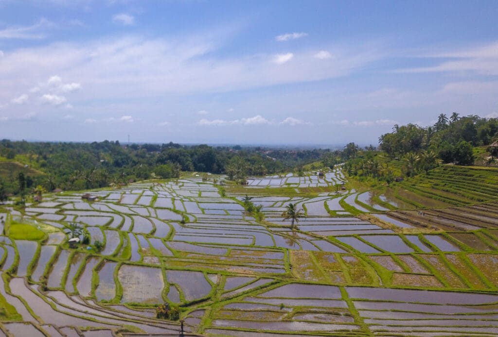 Jatiluwih-Reisterrassen aus der Vogelperspektive